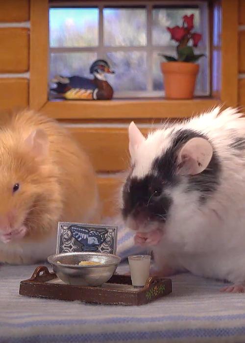 Midas and Amara are Absolutely no good for the Film Project