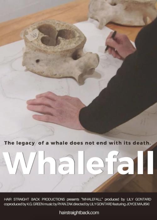 Whalefall
